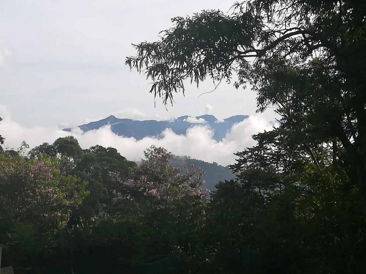 Jungle Tide Bed & Breakfast Kandy Exterior photo