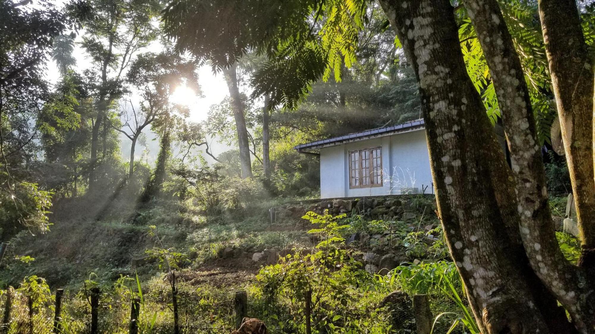 Jungle Tide Bed & Breakfast Kandy Exterior photo