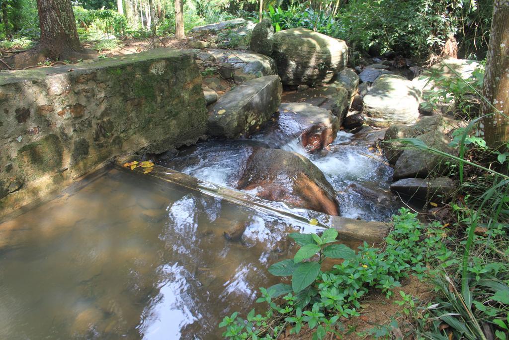 Jungle Tide Bed & Breakfast Kandy Exterior photo