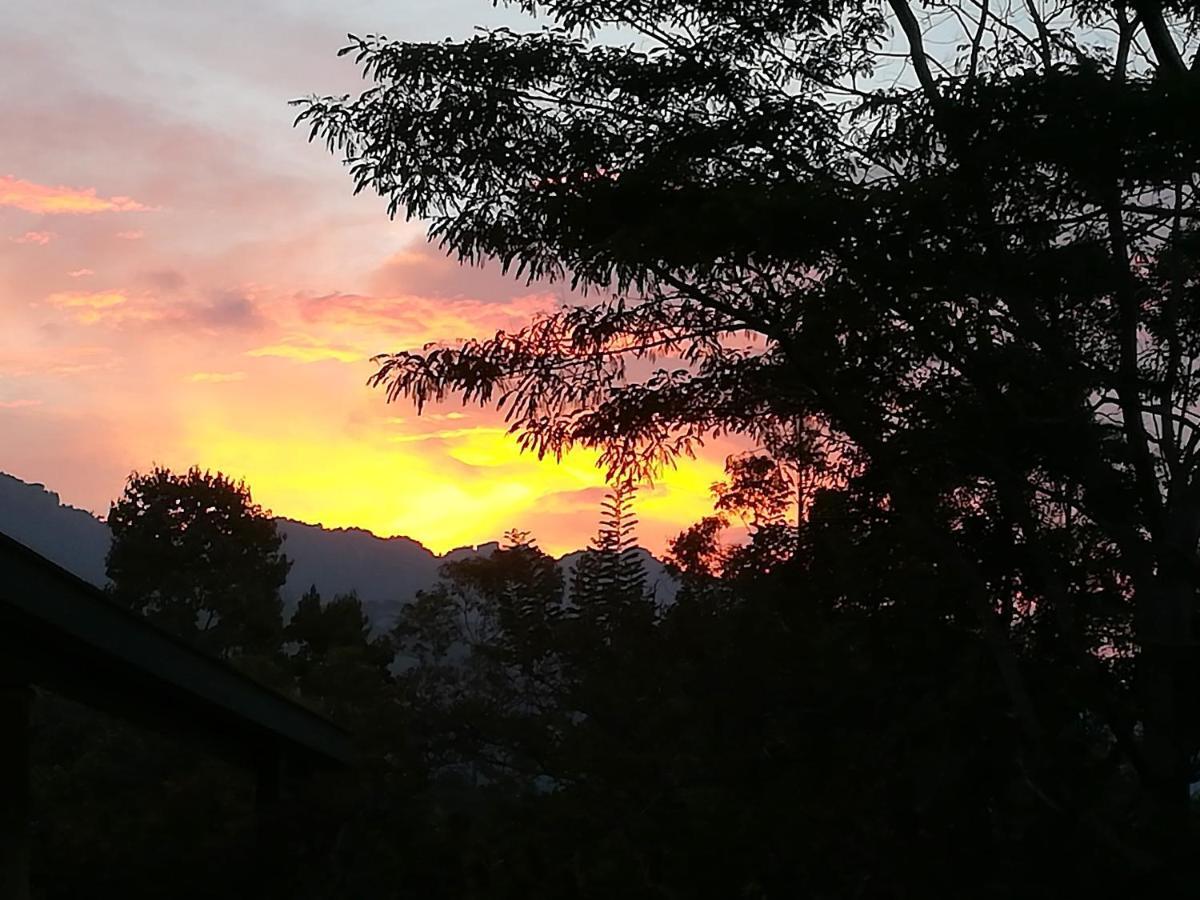 Jungle Tide Bed & Breakfast Kandy Exterior photo